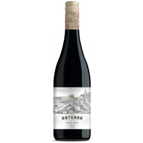 Anterra Pinot Noir